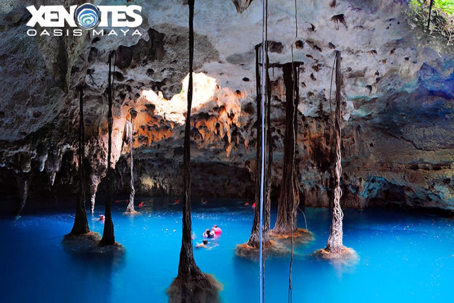 Xenotes