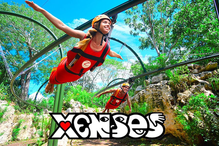 Xenses